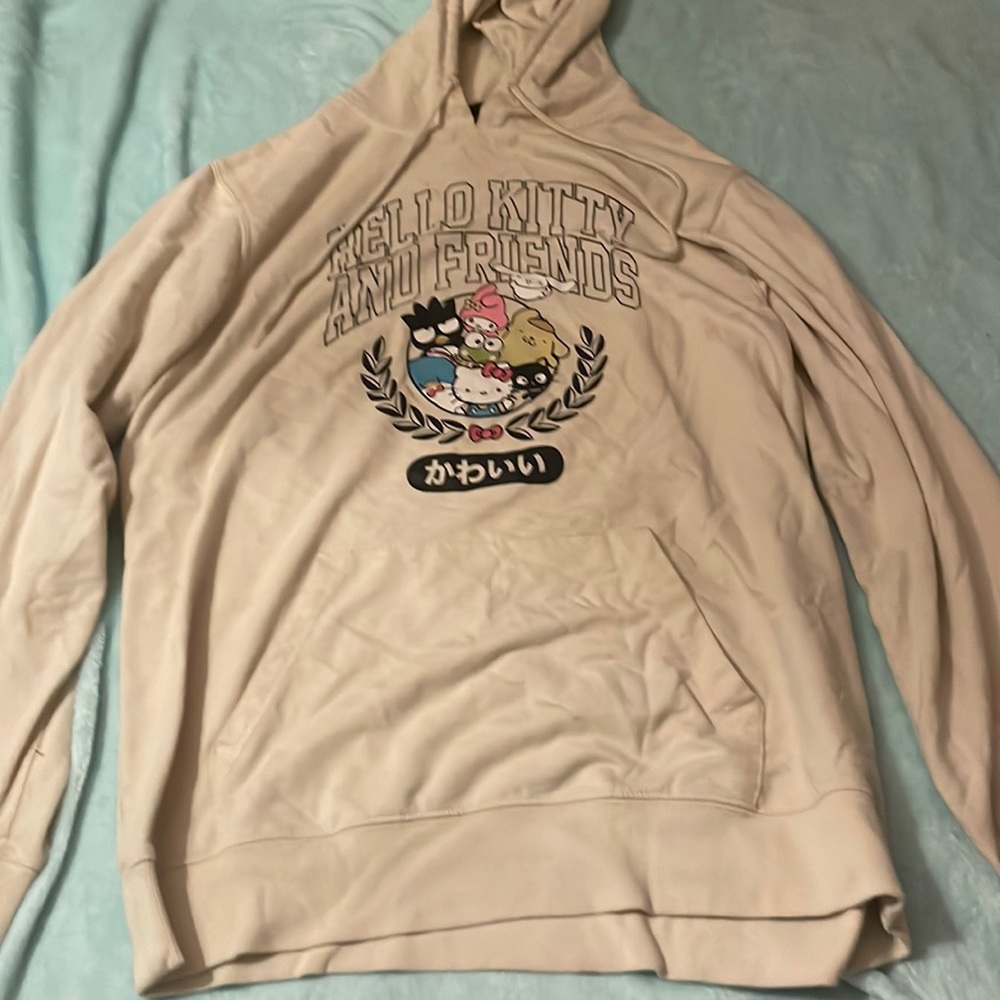 Hello kitty and friends hoodie